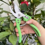 Stainless Steel Bonsai Trimmer - Cutting Tools - RBKSILICONE